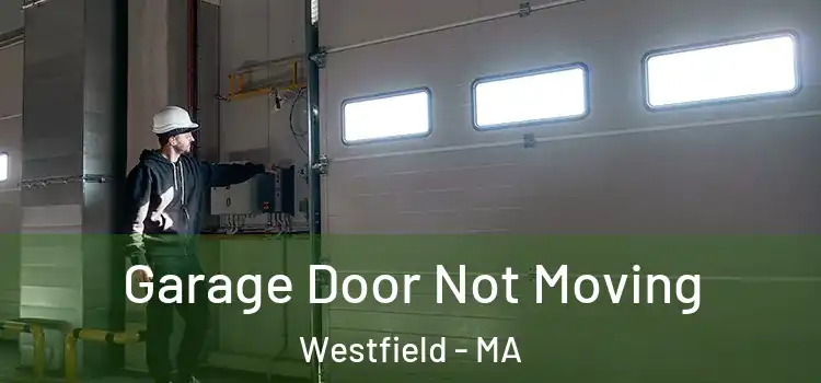  Garage Door Not Moving Westfield - MA