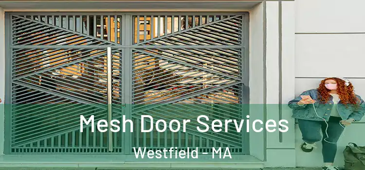 Mesh Door Services Westfield - MA
