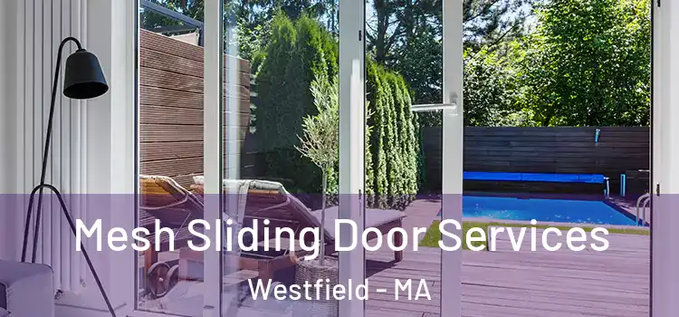 Mesh Sliding Door Services Westfield - MA